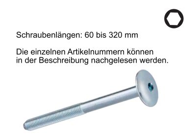 Artikel 659050-659060 – Flachrundkopf-Schrauben mit metrischem Gewinde M10, Kopf mit Innensechskant-Antrieb SW6, alle Längen, aus Stahl, verzinkt